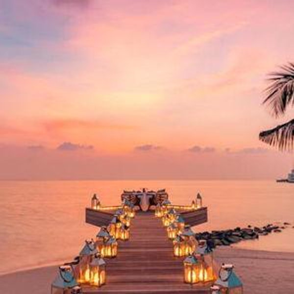 Night 01 Honeymoon Dinner
