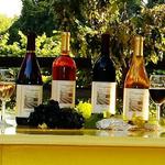 Perigeaux Vineyards & Winery