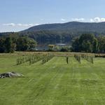Balderdash Cellars