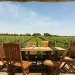 Wolffer Estate Vineyard