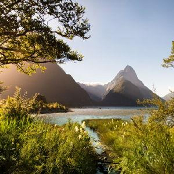 Our Honeymoon Fund - New Zealand
