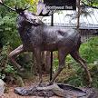 Northwest Trek Wildlife Park
