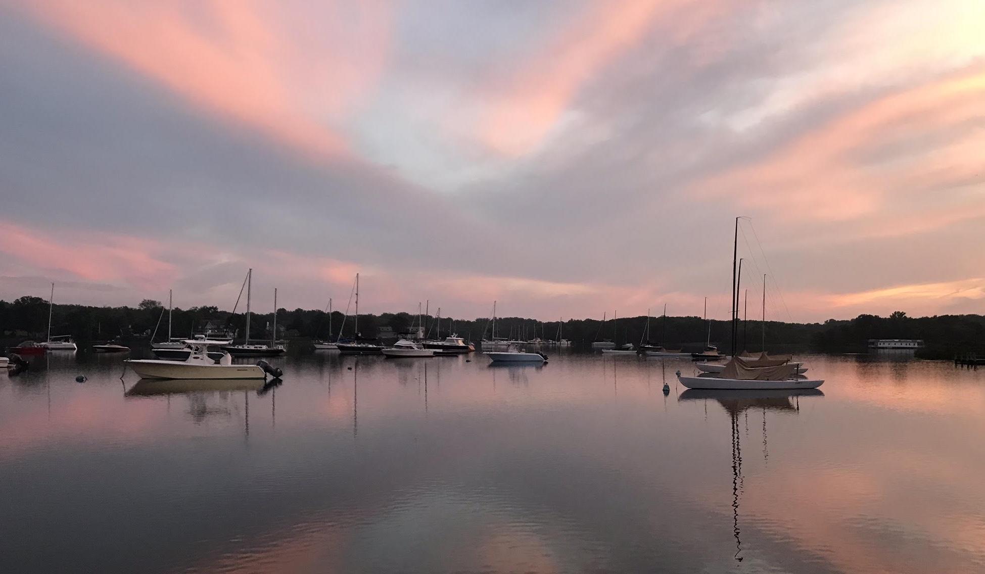 The Wedding Website of Lilly Rogers and Rémi Hernandez