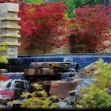 The Dallas Arboretum and Botanical Garden