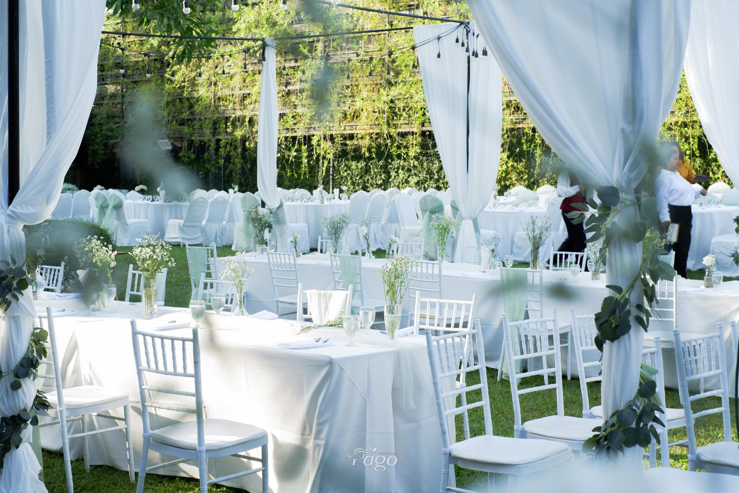 The Wedding Website of Napaporn Pradabsri and Tahar Righi