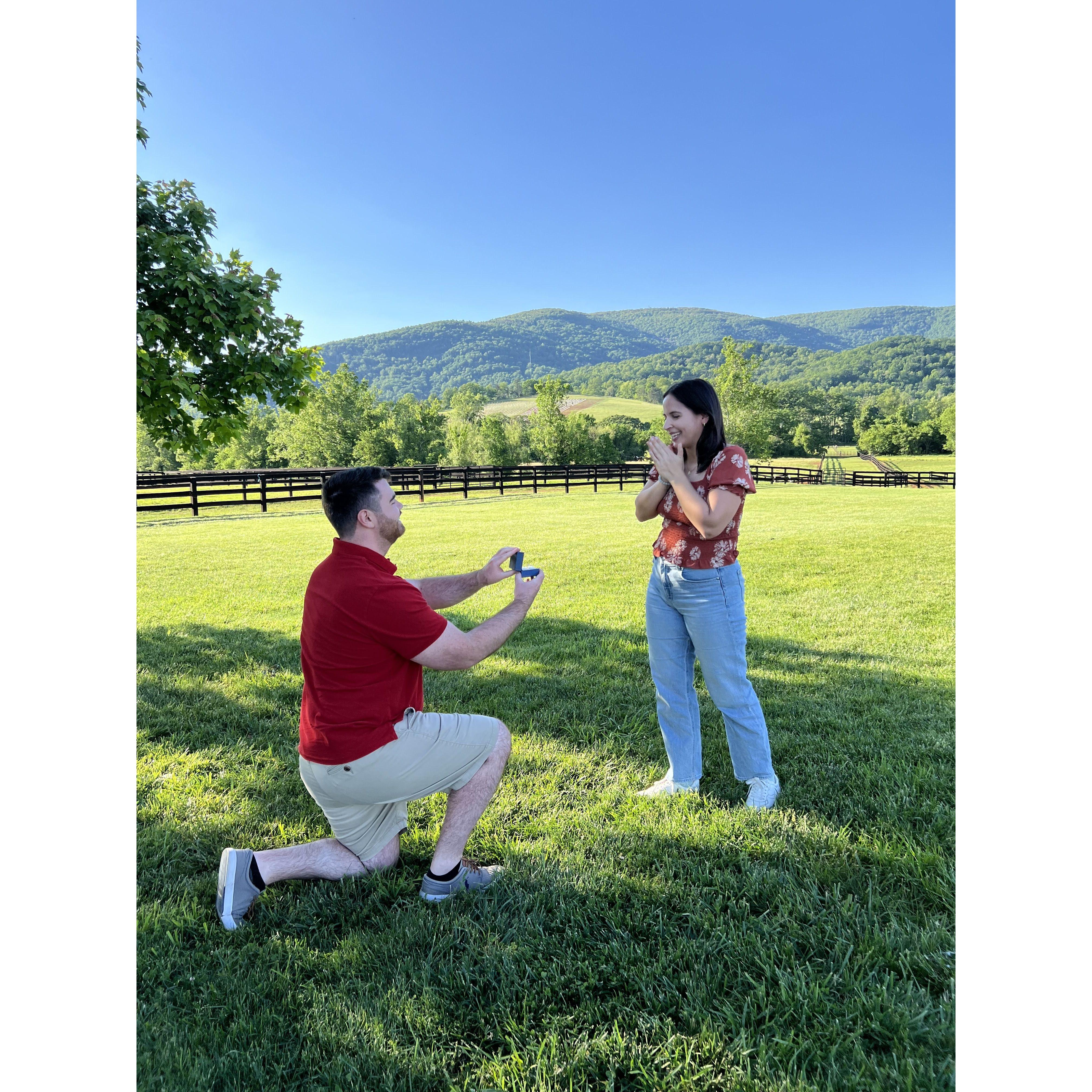 Jessica and Evan got engaged on May 12, 2024 at King Family Vineyards in Charlottesville, VA. One of the couple's favorite places!