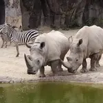 The Maryland Zoo in Baltimore