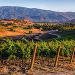 Santa Barbara Wine Country Tours
