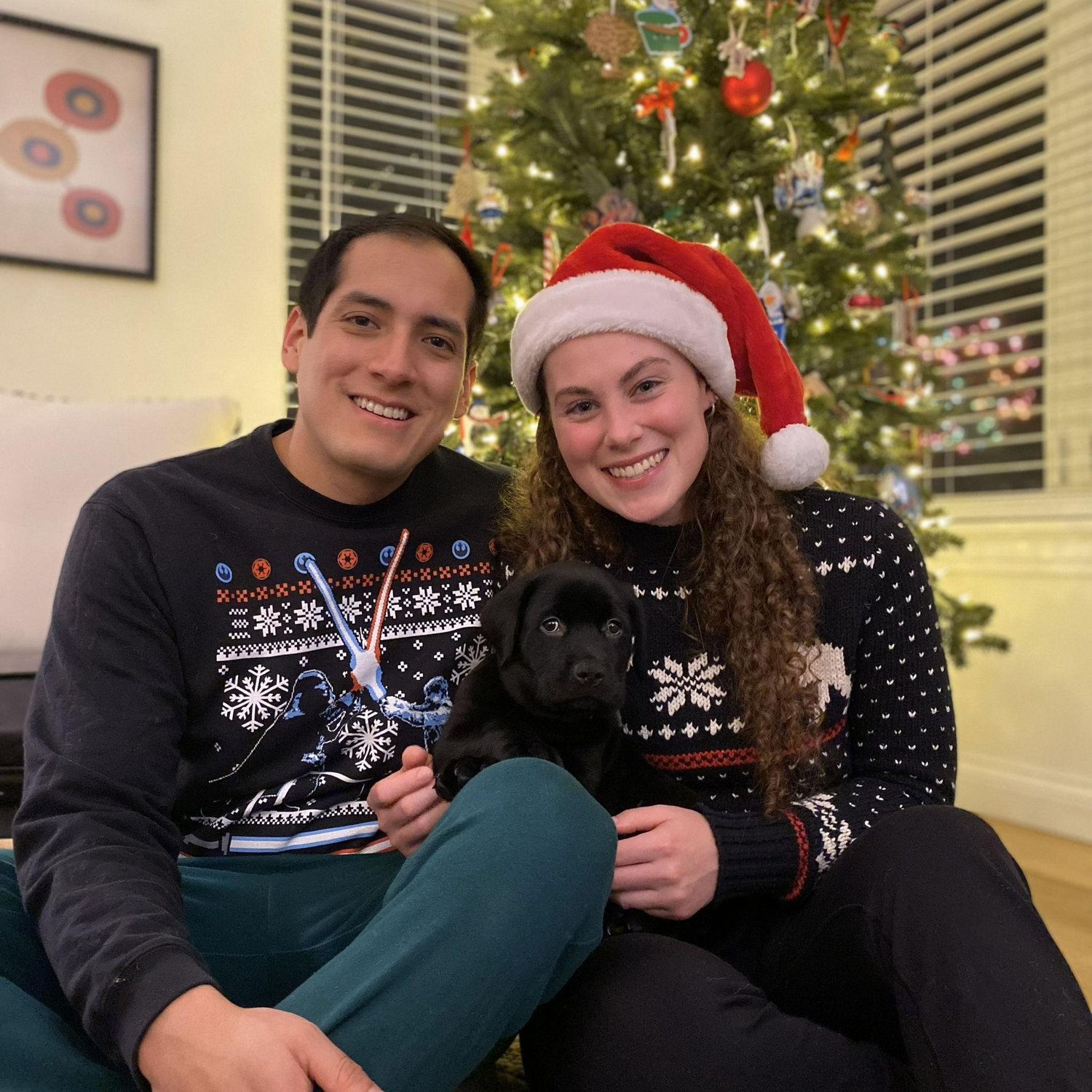 Milo's first Christmas