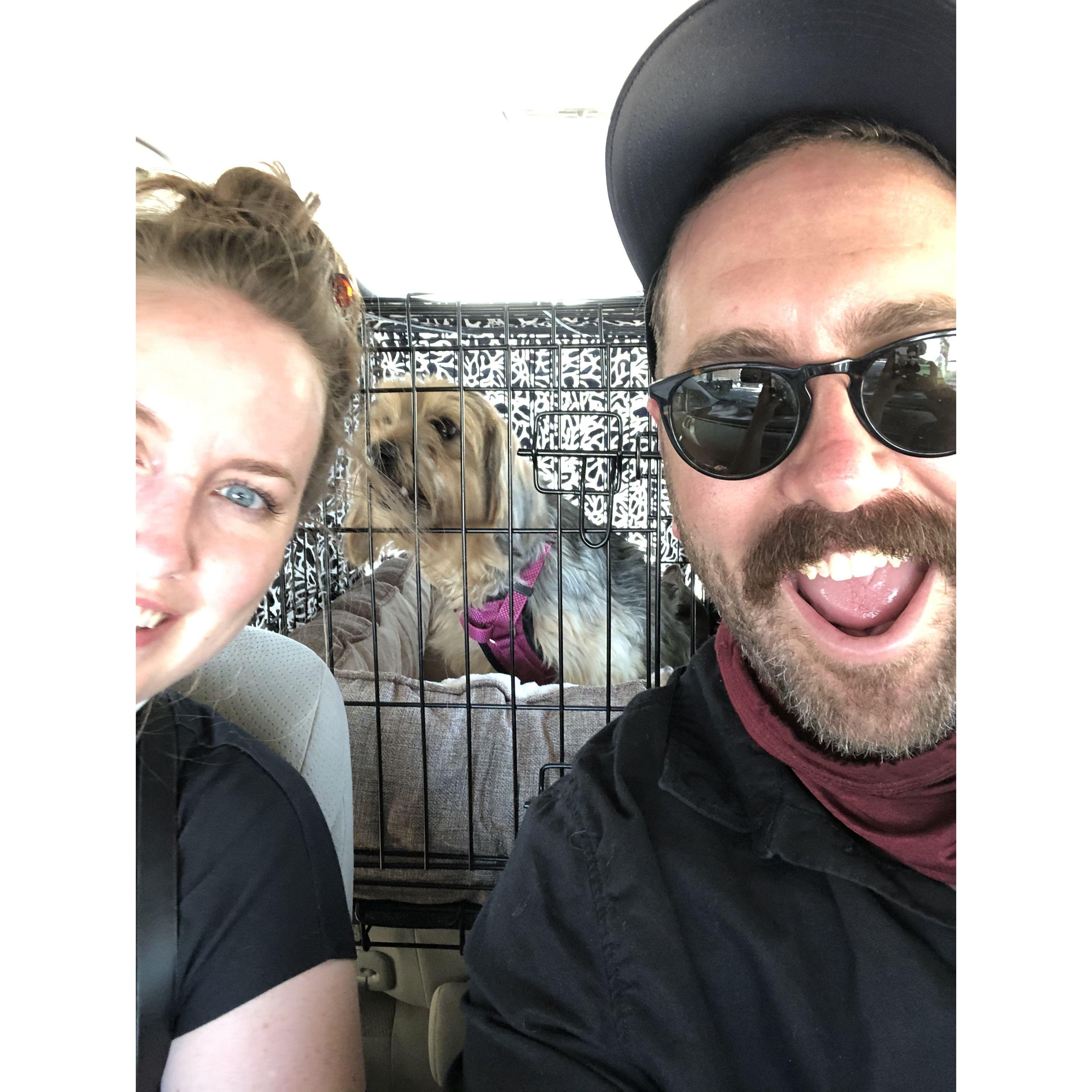 First time dog parents, we drove 4 hours each way to pick up Jojo