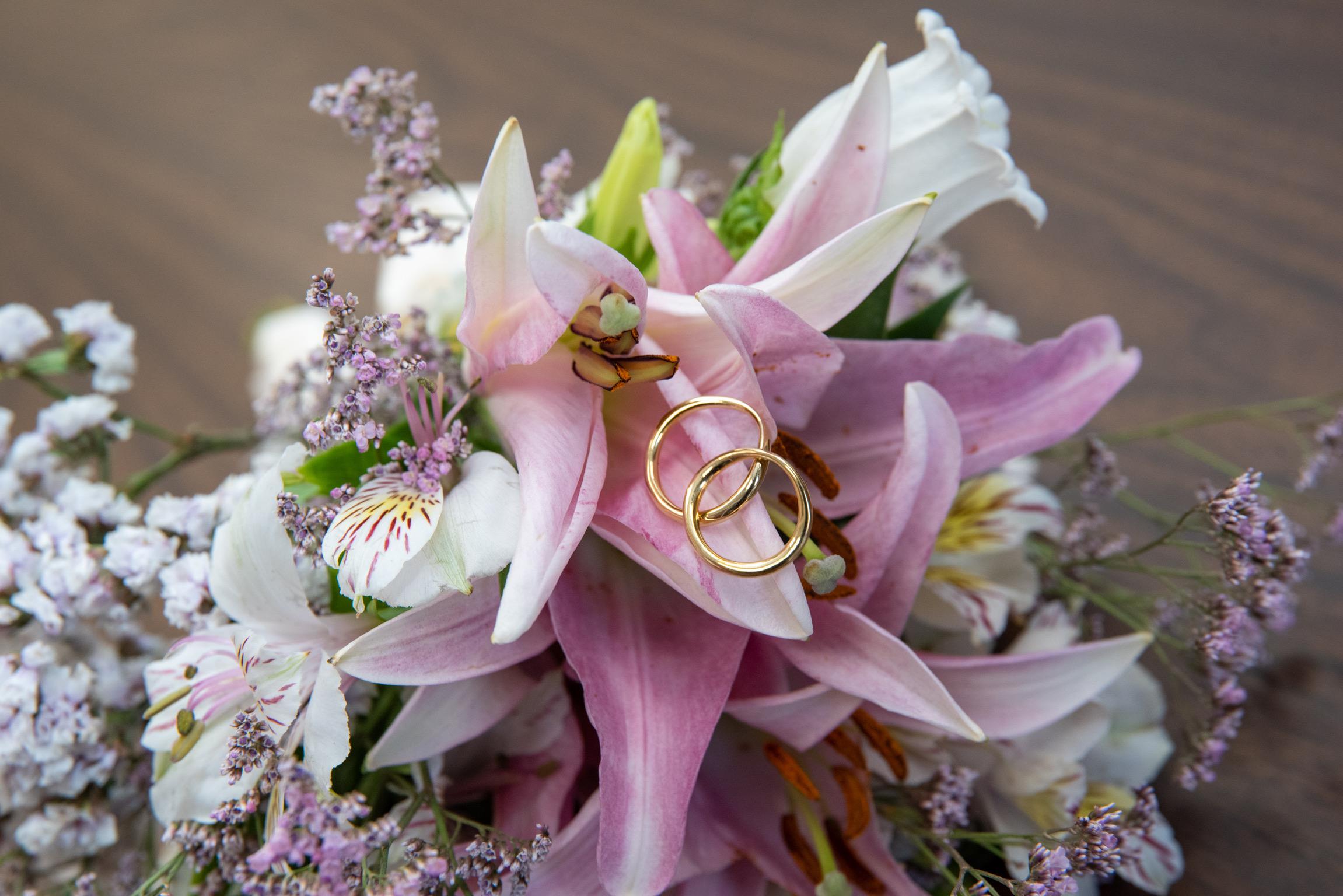 The Wedding Website of Miles Jack and Laura Machado Bicalho