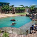 Houston Zoo