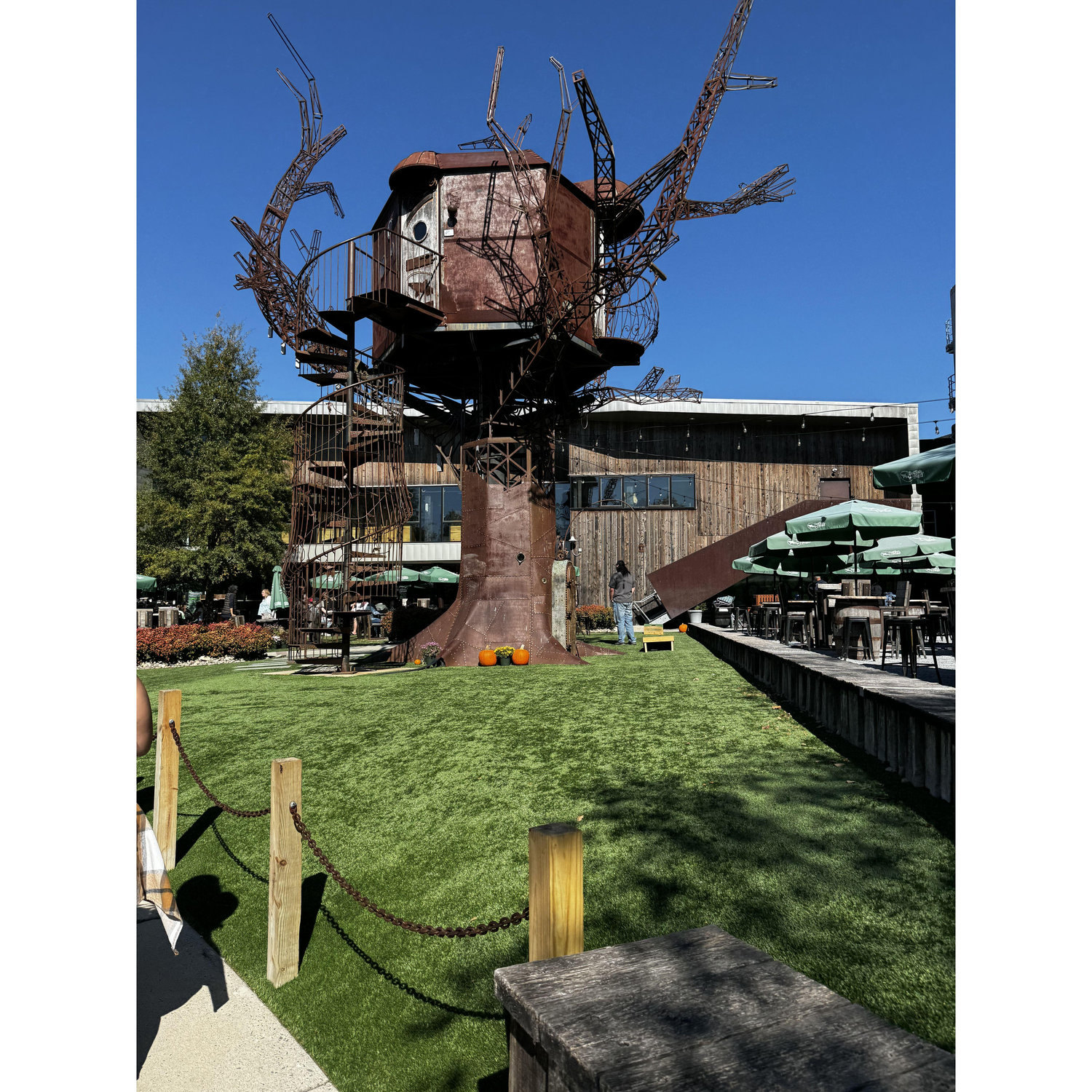 The Dogfish Head tree house.
