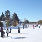 Ice Skating