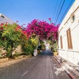 Neve Tzedek