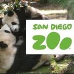 Zoo Drive