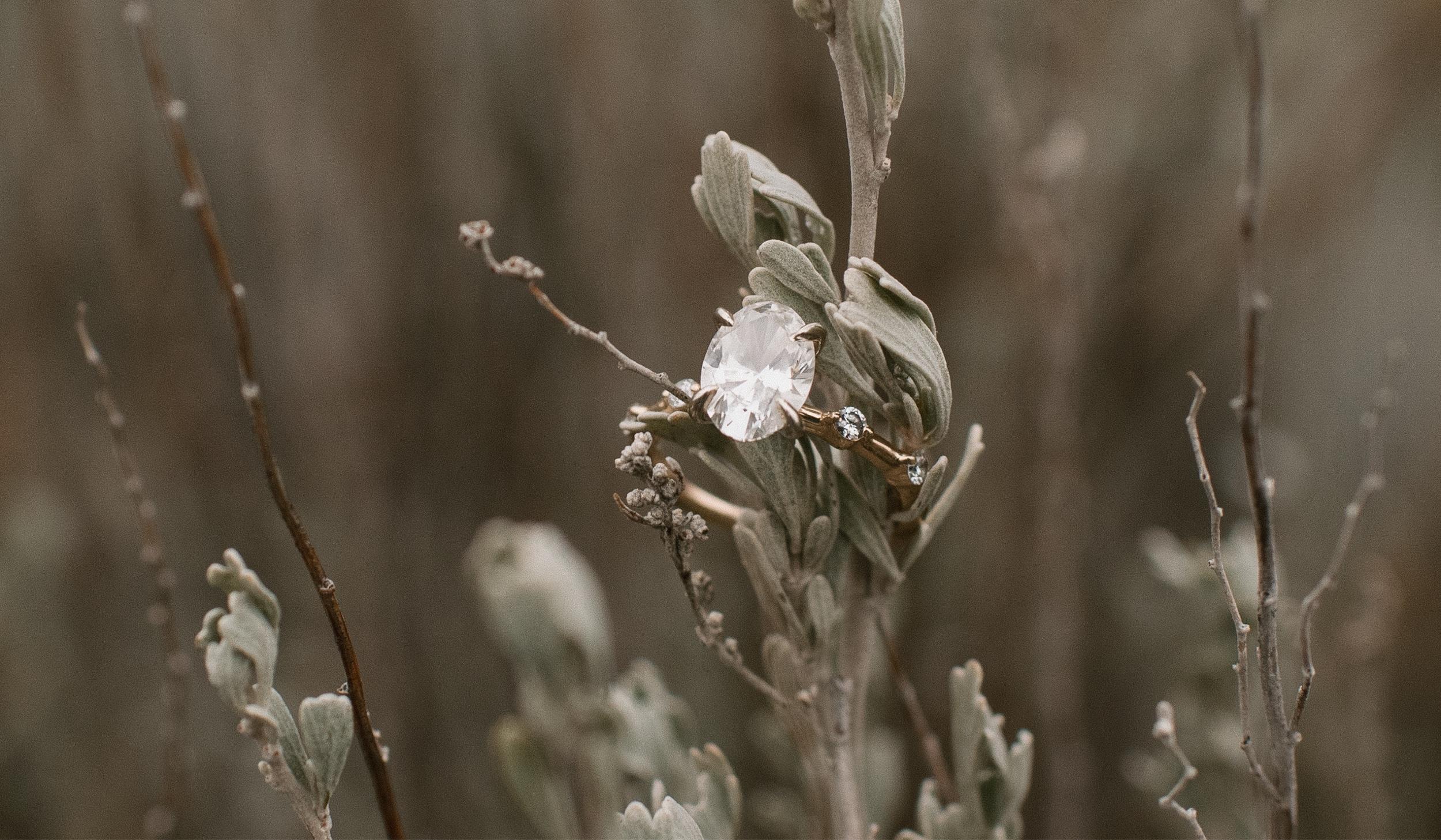The Wedding Website of Rhyanne Oates and Zac Berryman