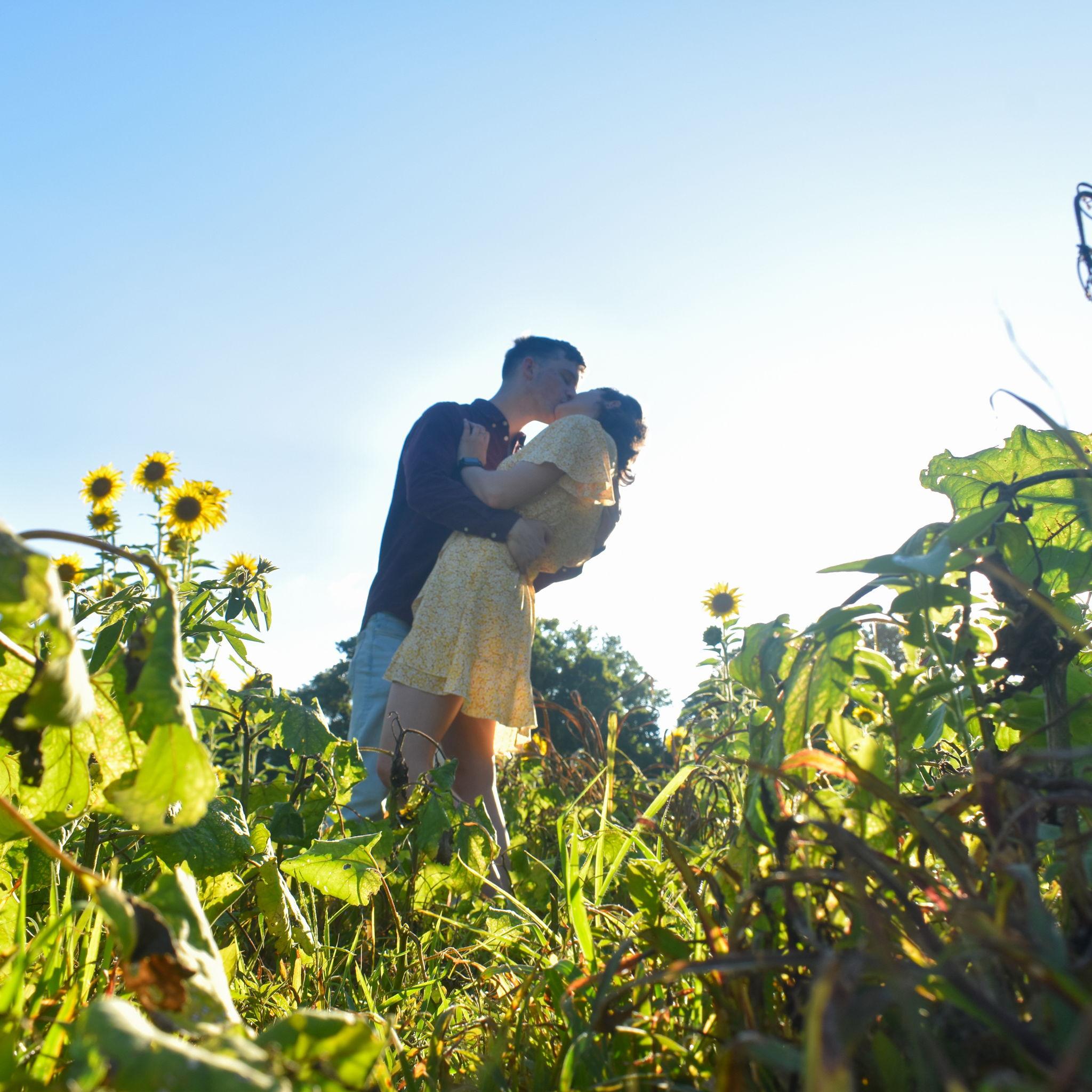 We decided to take some photos in the local sunflower field after a day of interning in Tennessee.