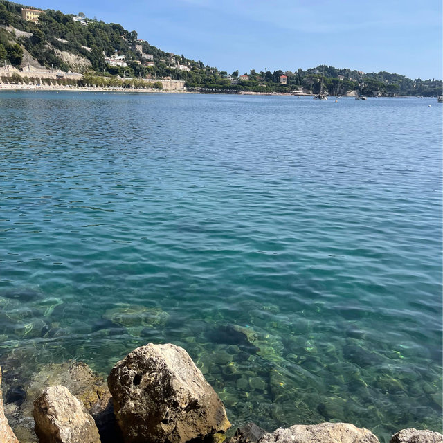 Vitamin Sea Fund