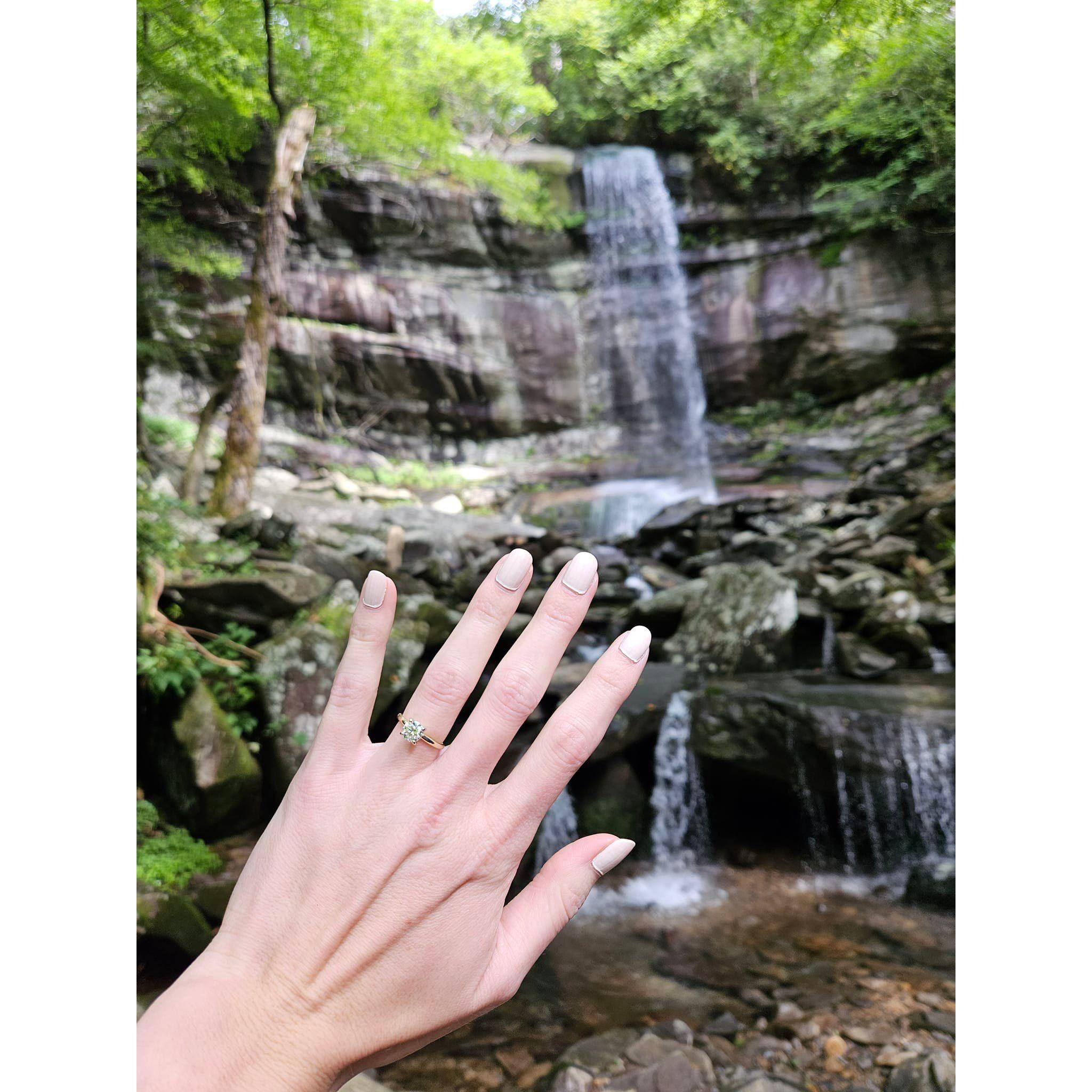 The ring and the gorgeous backdrop for the proposal!