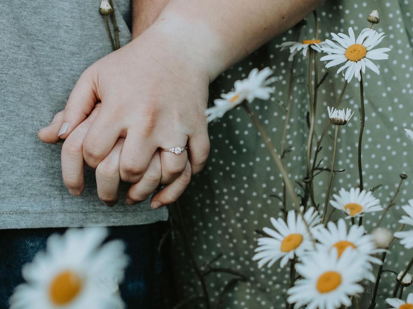 The Wedding Website of Haley McAninch and Jordan Wilbur