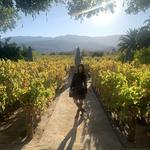 Heitz Cellar Estate