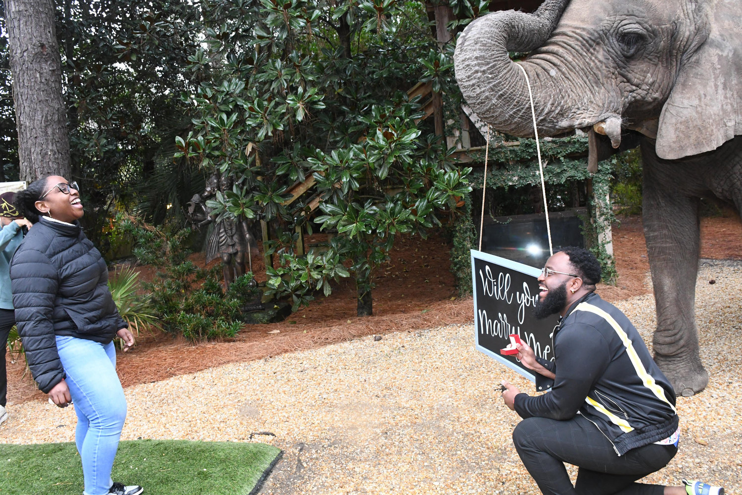 The Wedding Website of Jazmene Mosley and Jean-Philippe Pierre-Louis