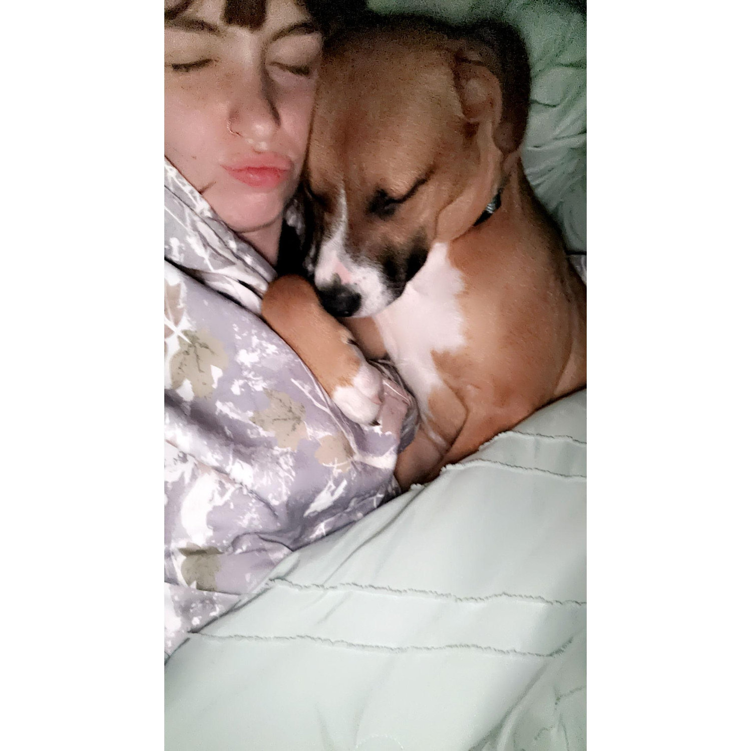 cuddle bug