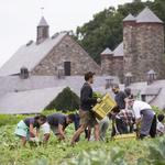 Stone Barns Center for Food & Agriculture