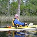 Alligator River National Wildlife Refuge