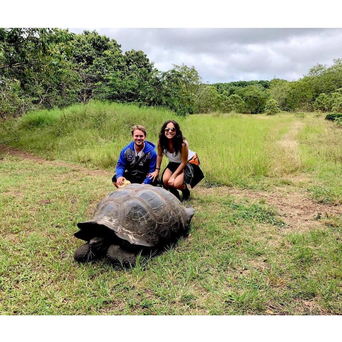 Hanging out with the tortoises in the Galapagos Islands!