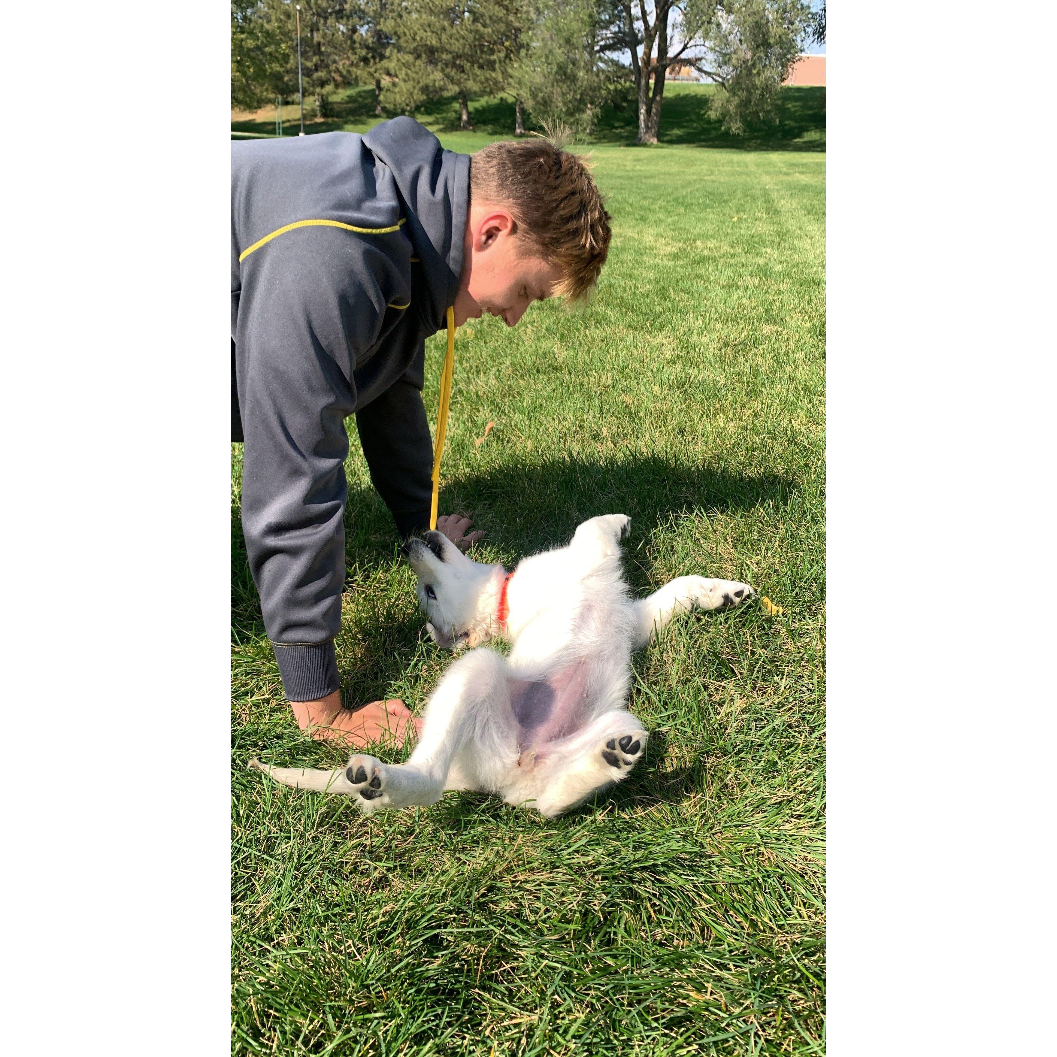October 10th, 2021. Dog sitting Daniel's first Golden Healer: Liberty!