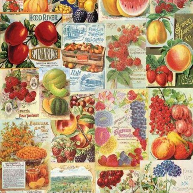 Seed Catalog: Smithsonian, Fruits - 1000pc Jigsaw Puzzle by Eurographics