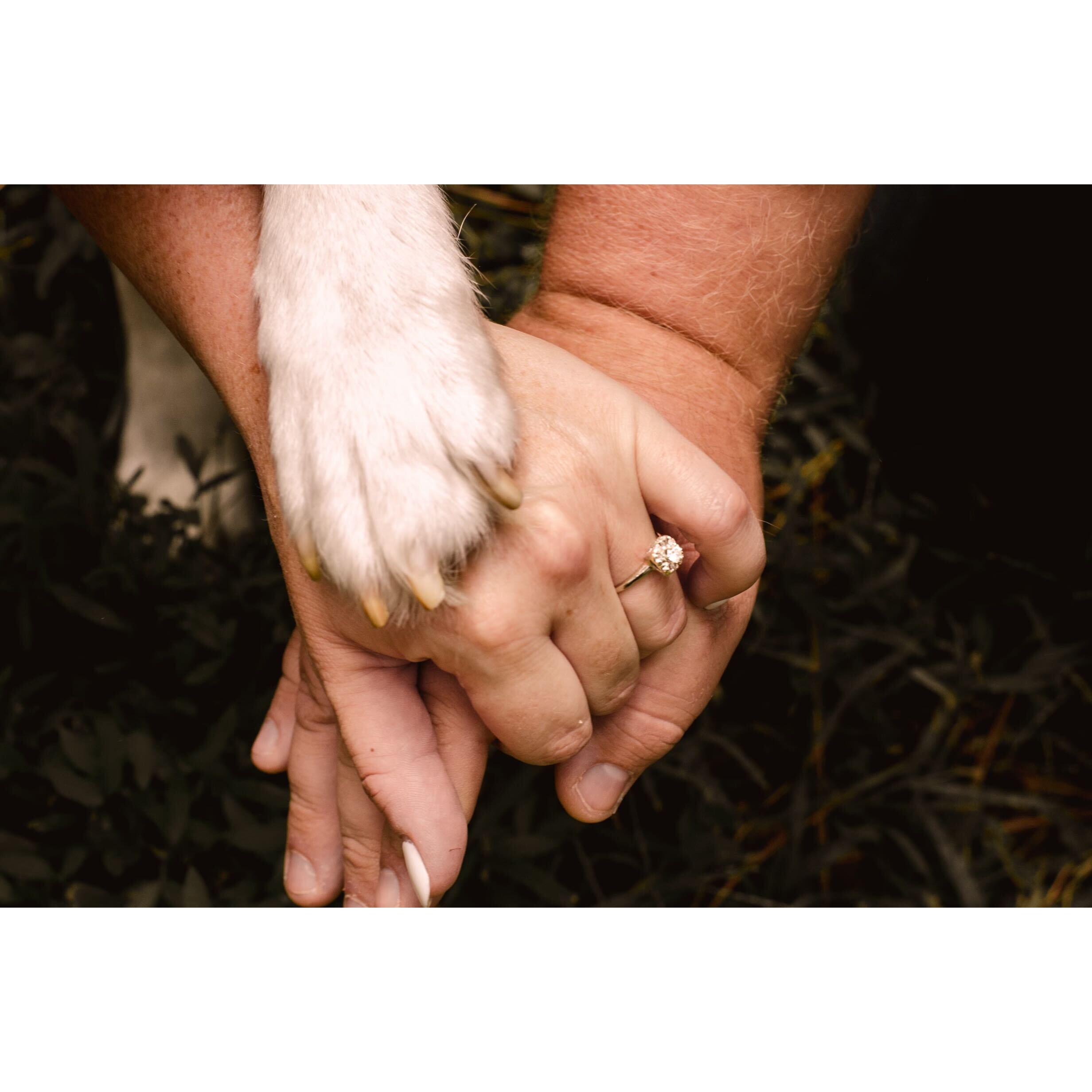 Engagement - August - 2024