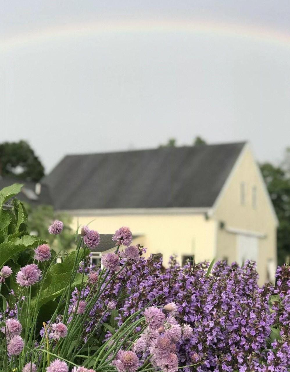 The Wedding Website of David Lindbom and Jacqueline Hartford