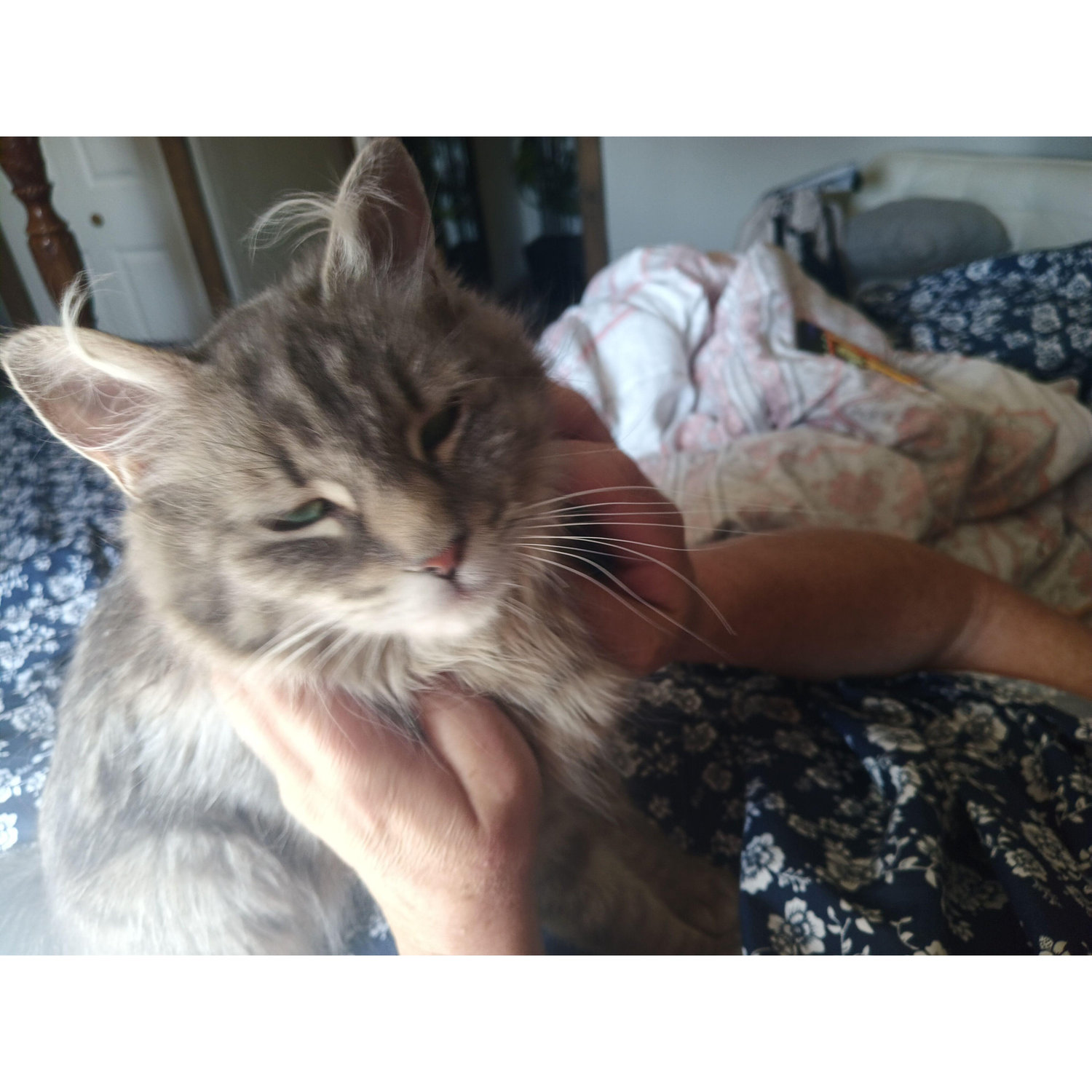We adopted "Tater Tot" AKA Taterbug