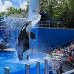 SeaWorld Orlando
