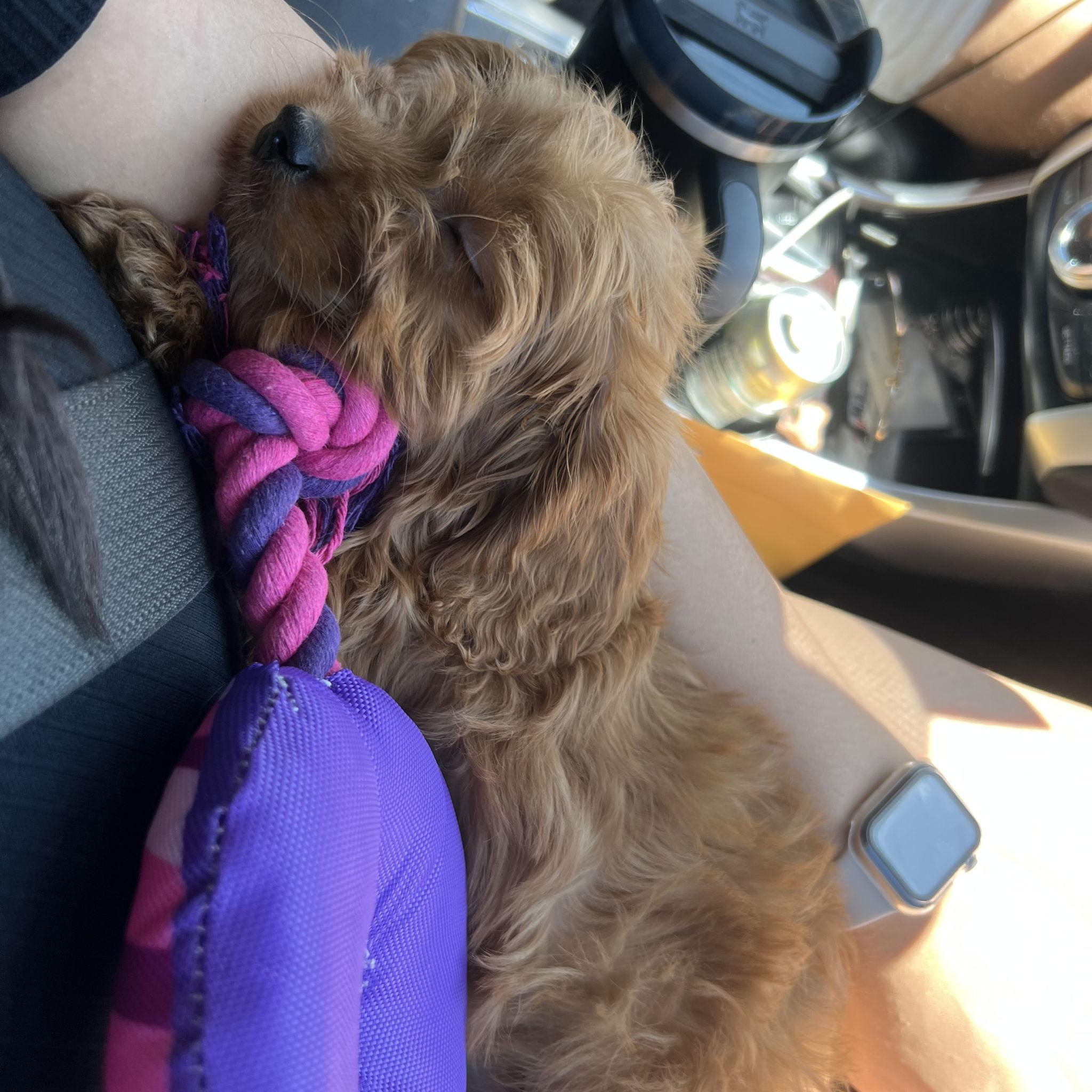 And then our first baby came