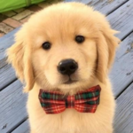 An “Aww” Moment