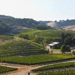 Paso Robles Wine Country