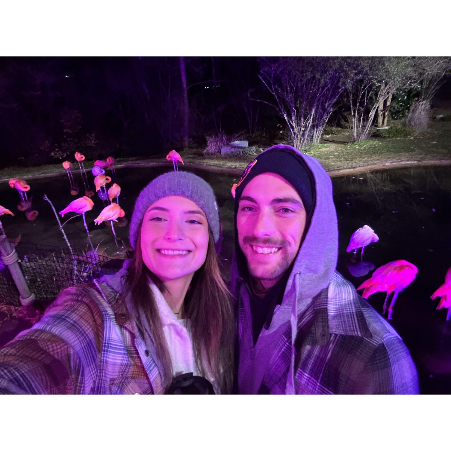 December 7th, 2024: Dressed in our winter gear and grabbed a hot chocolate to experience Zoolumination at the Nashville zoo