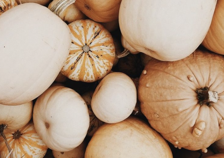 The Wedding Website of Breanna Schug and Cole Inderlee