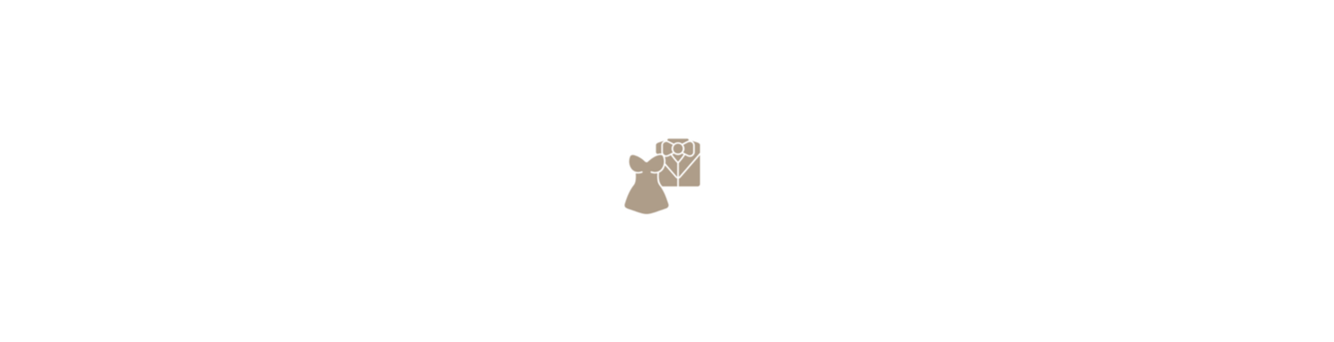 The Wedding Website of Angiella Mancuso and Manuel Petro