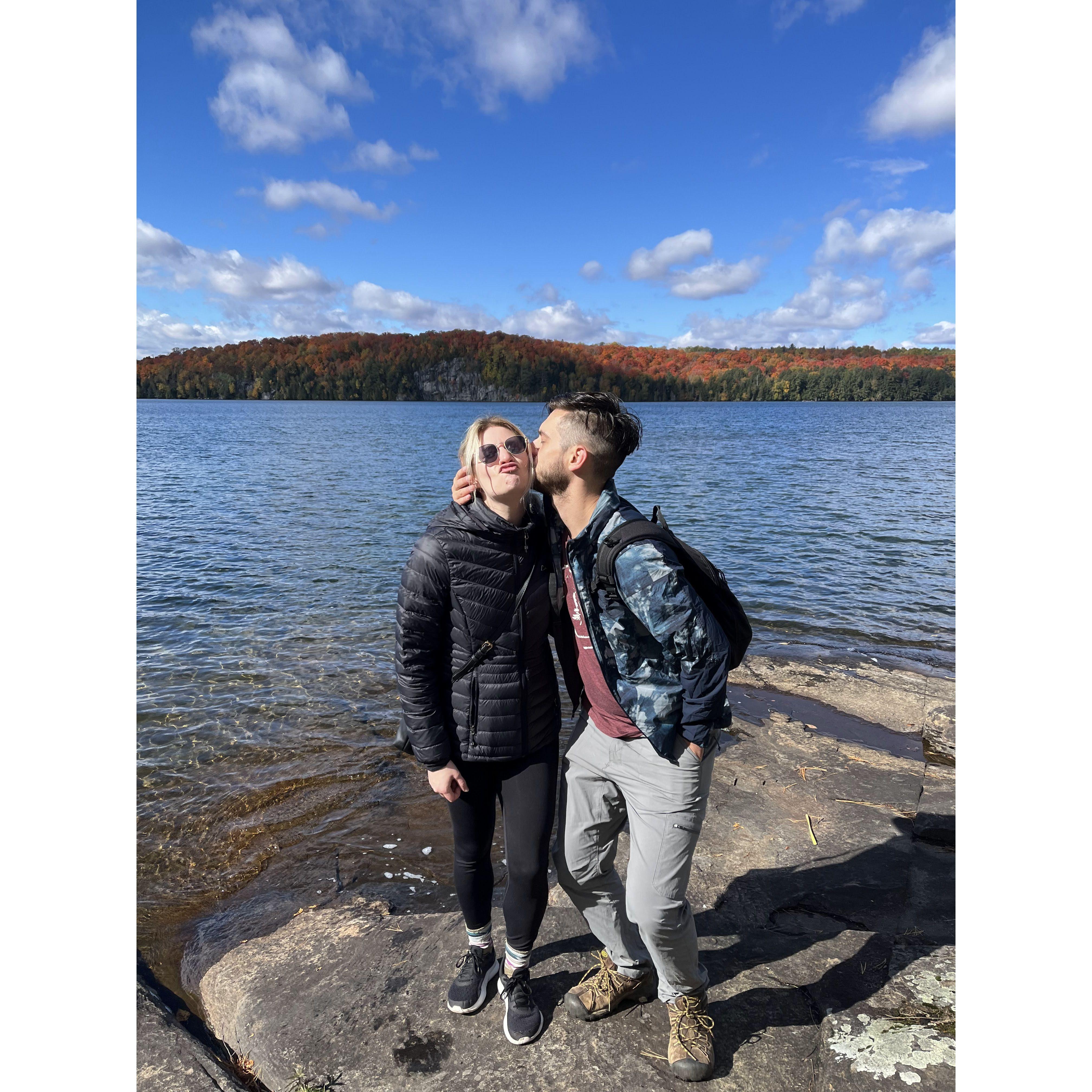 Thanksgiving - thankful for this turkey. Muskoka, ON - October 2022.