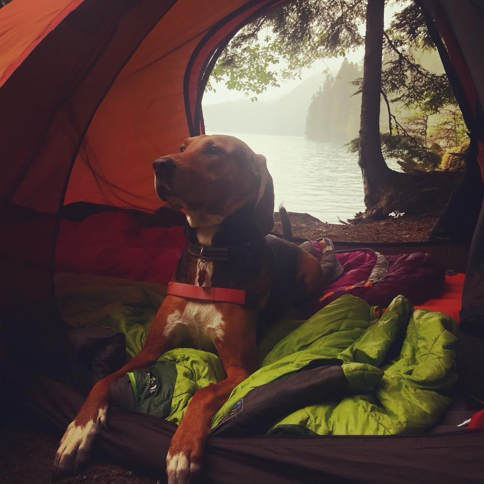 Backpacking in Goat Rocks Wilderness, May 2018