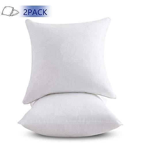 Emolli 20 x 20 Pillow Inserts Set of 2, Throw Pillow Inserts Premium Stuffer Down Alternative,Super Soft Microfiber Filled Decorative Pillow Cushion