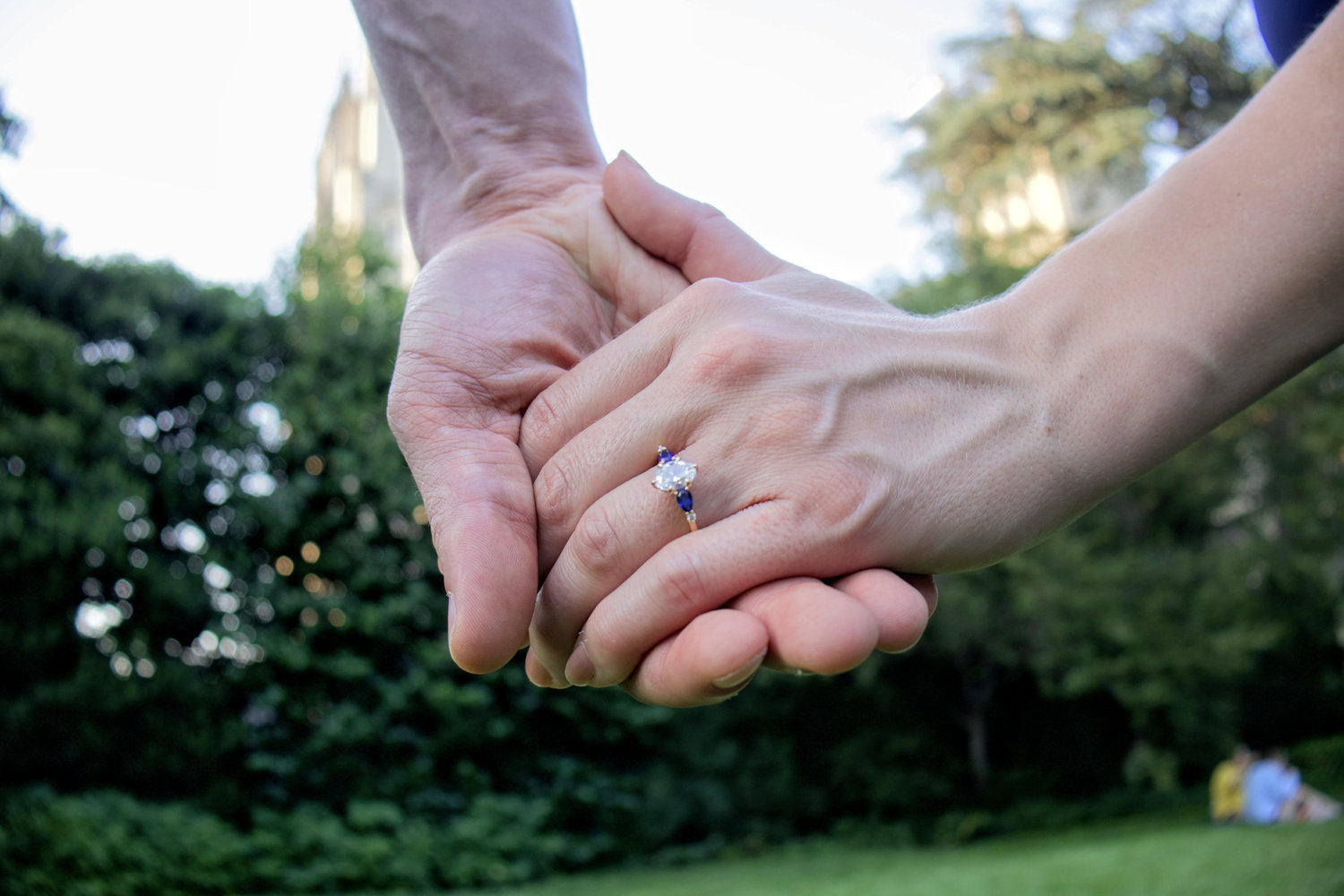 The Wedding Website of Mark Lindgren and Stephanie Wilkins
