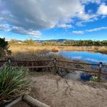 Ojai Meadows Preserve