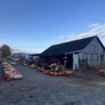 The Pickin' Patch