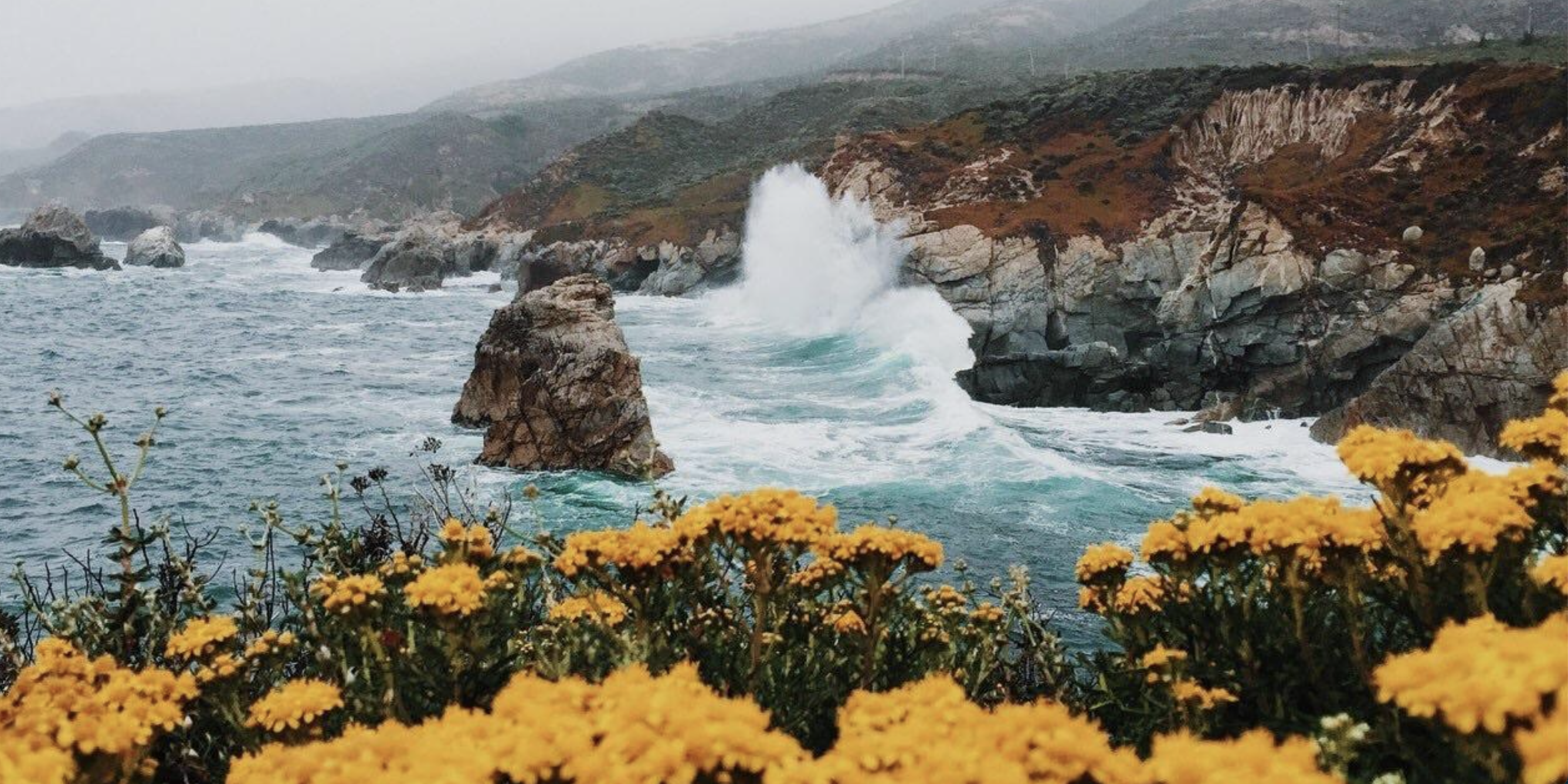 The Wedding Website of ERIC ROBBINS and LILY WADE